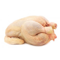 Gros poulet prêt à cuire