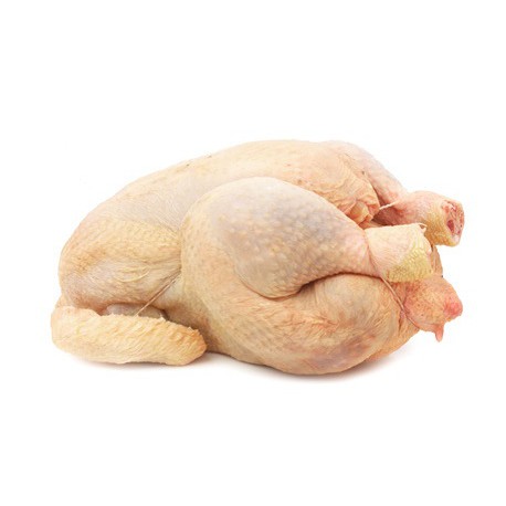Gros poulet prêt à cuire
